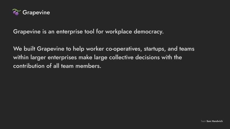 Grapevine – screenshot 2