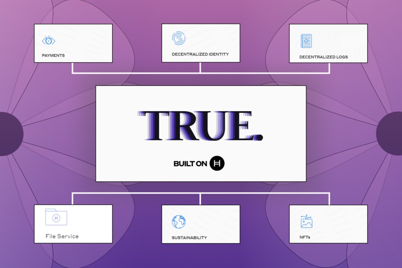 True – screenshot 2