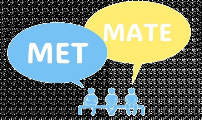 METMate – screenshot 3