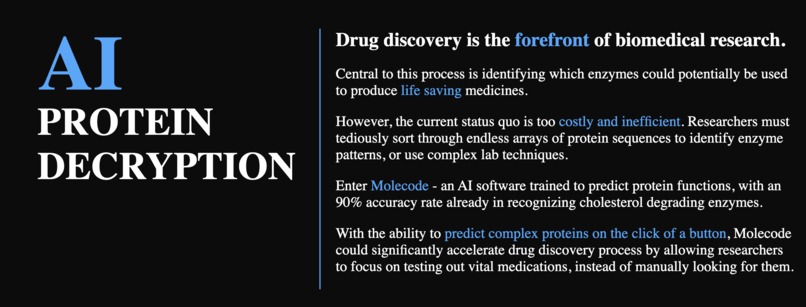 Molecode – screenshot 2