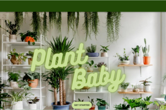 plant-baby-web