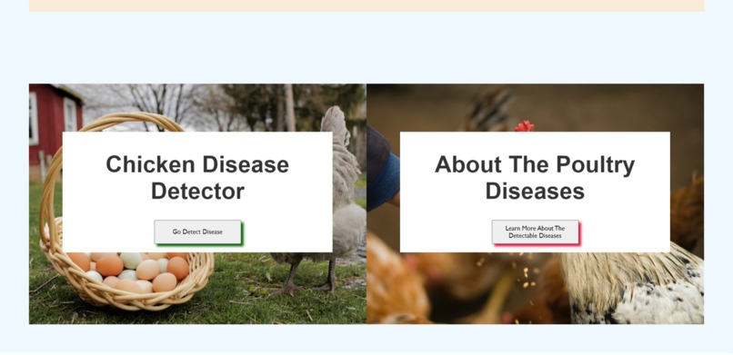 Chicken Saviour  – screenshot 3