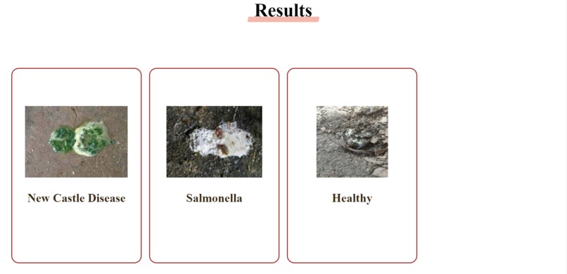 Chicken Saviour  – screenshot 5