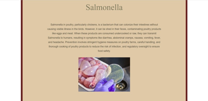 Chicken Saviour  – screenshot 6