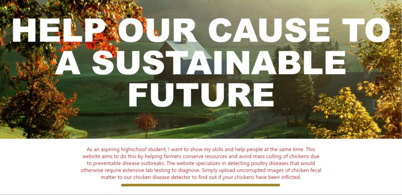 Chicken Saviour  – screenshot 7