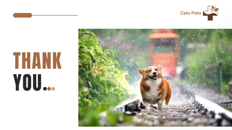 Celo Pets – screenshot 3