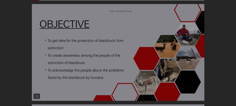 The Last Blackbuck Standing: A Survival Game – screenshot 5