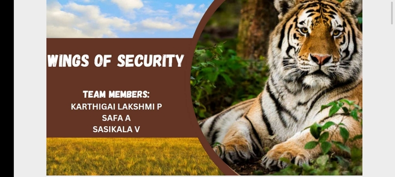 Wings of security  – screenshot 3