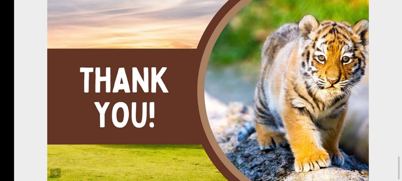 Wings of security  – screenshot 4