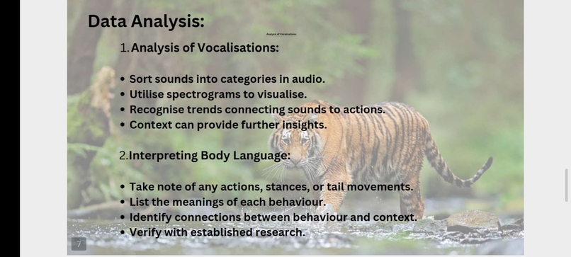 Wings of security  – screenshot 9