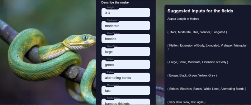 Snake Eyes (Deciphering Serpents from Description) – screenshot 3