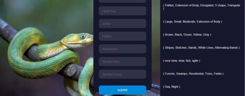 Snake Eyes (Deciphering Serpents from Description) – screenshot 2
