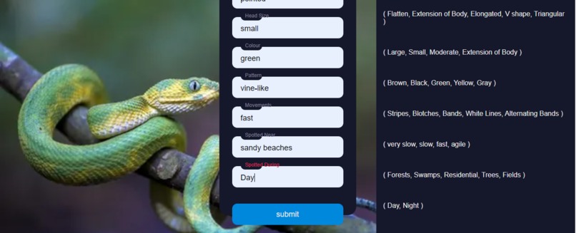 Snake Eyes (Deciphering Serpents from Description) – screenshot 7