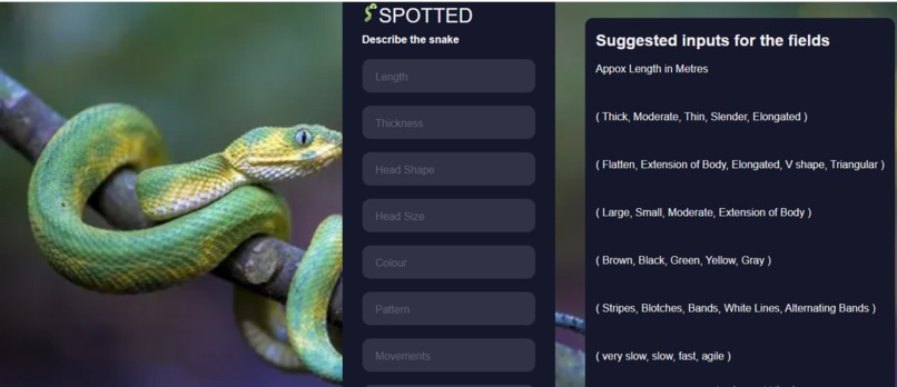 Snake Eyes (Deciphering Serpents from Description) – screenshot 1