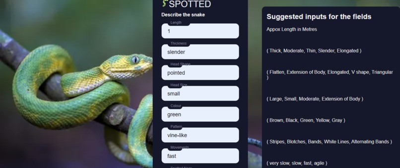 Snake Eyes (Deciphering Serpents from Description) – screenshot 6