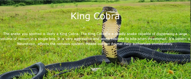 Snake Eyes (Deciphering Serpents from Description) – screenshot 5