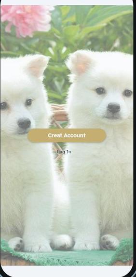 PETS CARE APP – screenshot 2