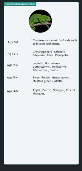 PETS CARE APP – screenshot 8