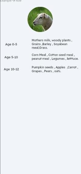 PETS CARE APP – screenshot 11