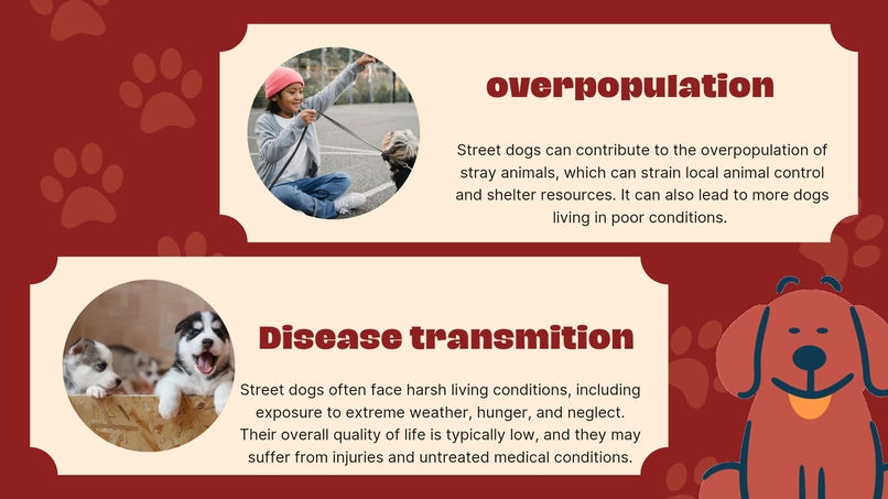 Stray supporters  – screenshot 4