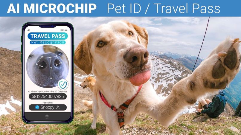 AI Microchip App - Pet ID (Travel Pass) – screenshot 2
