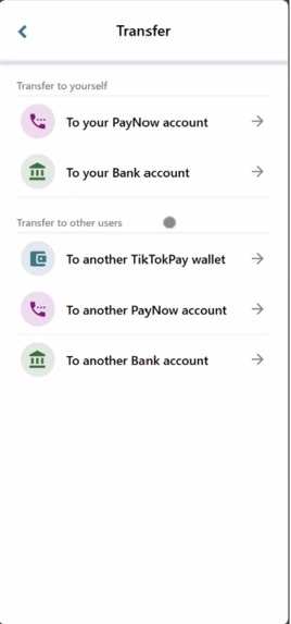 TikTokPay – screenshot 4
