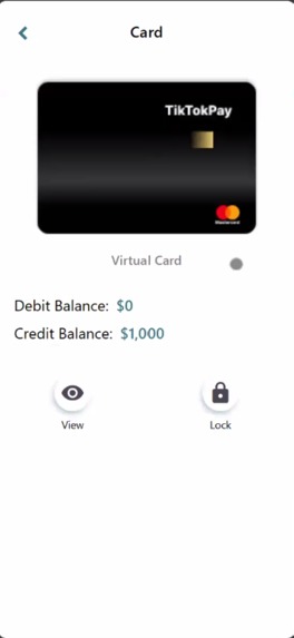 TikTokPay – screenshot 5