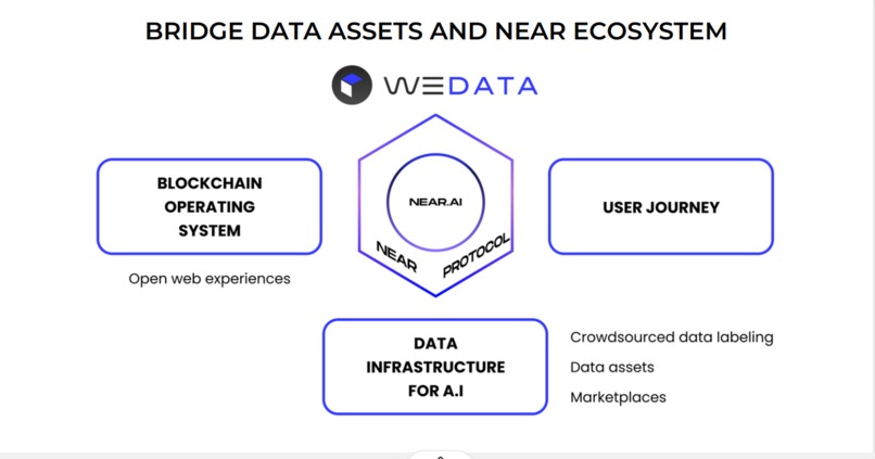WeData plus – screenshot 3