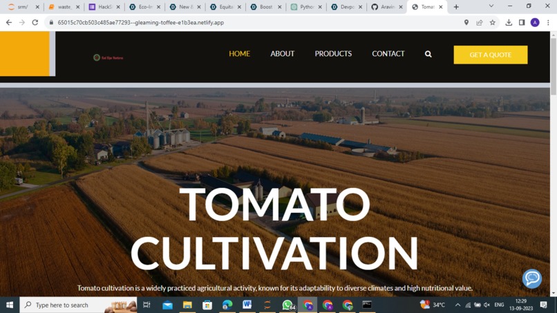 Red Ripe Ventures – screenshot 1