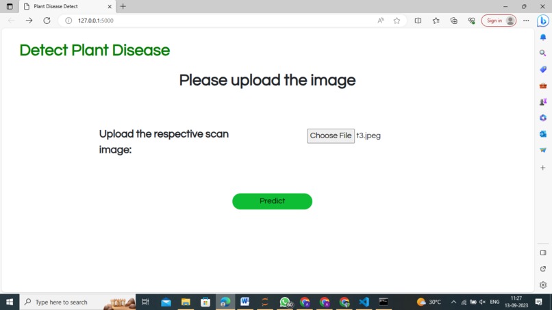 Red Ripe Ventures – screenshot 3