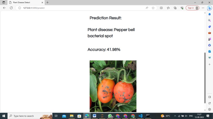 Red Ripe Ventures – screenshot 4