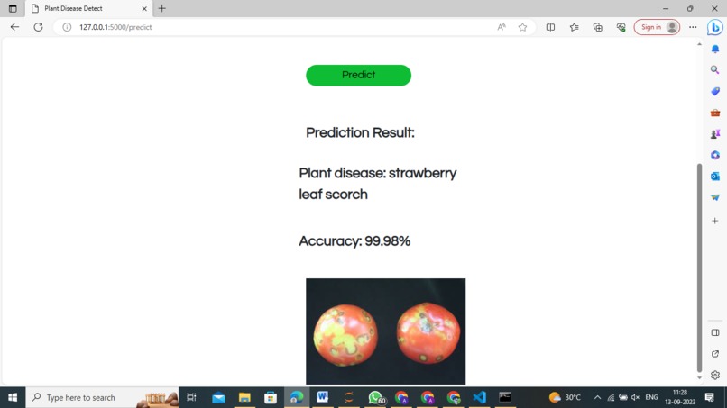 Red Ripe Ventures – screenshot 5