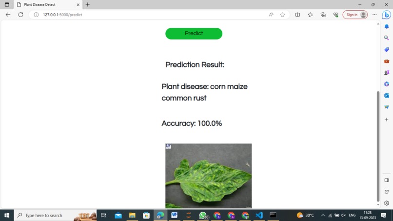Red Ripe Ventures – screenshot 6