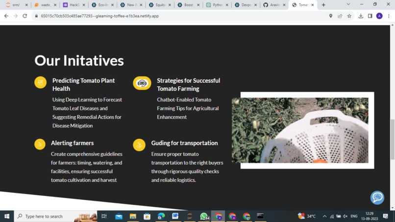 Red Ripe Ventures – screenshot 7