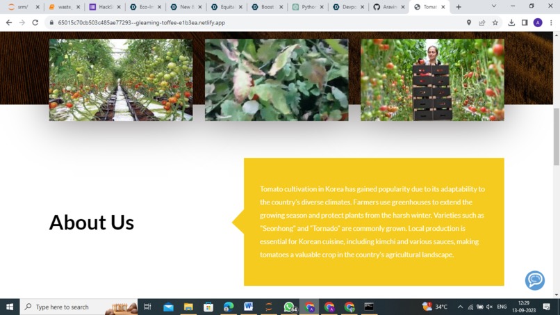 Red Ripe Ventures – screenshot 8