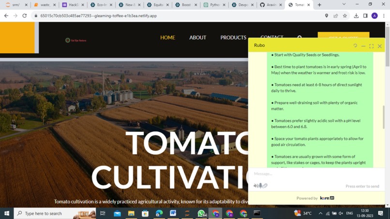 Red Ripe Ventures – screenshot 10
