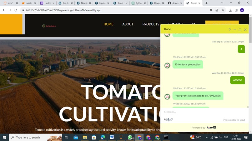 Red Ripe Ventures – screenshot 12