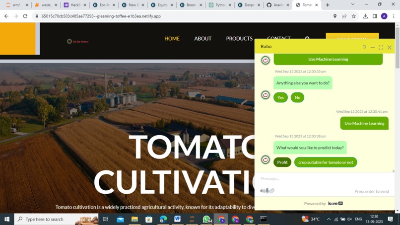 Red Ripe Ventures – screenshot 13