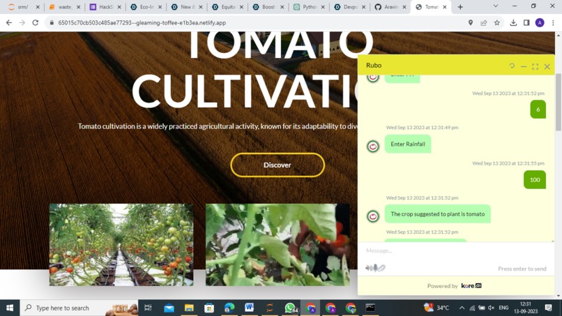 Red Ripe Ventures – screenshot 15
