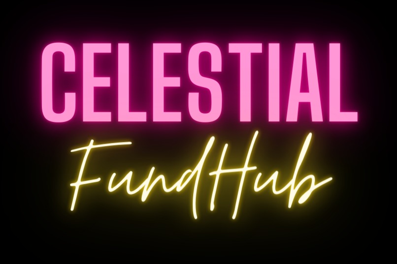 Celestial FundHub – screenshot 2
