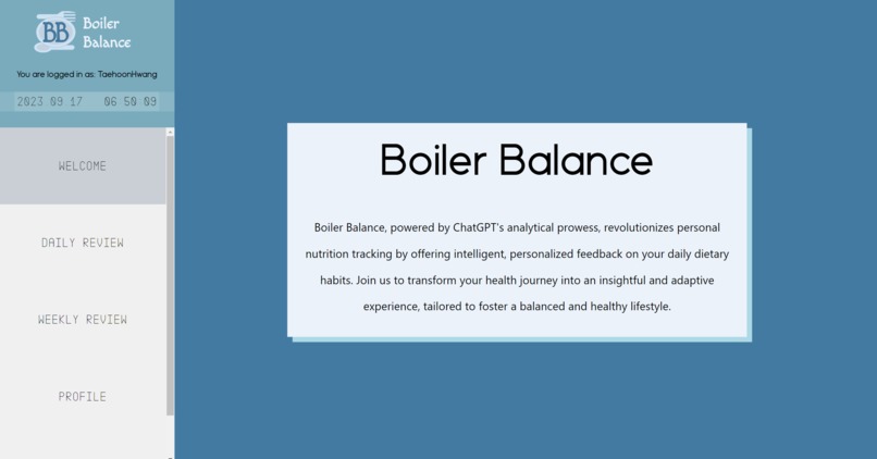Boiler Balance – screenshot 2