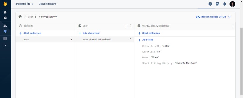 Ancestral Fire – screenshot 1