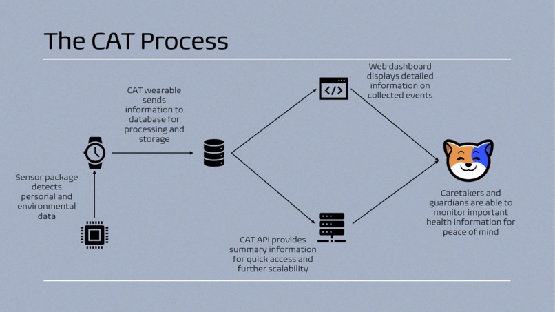 CAT – screenshot 4