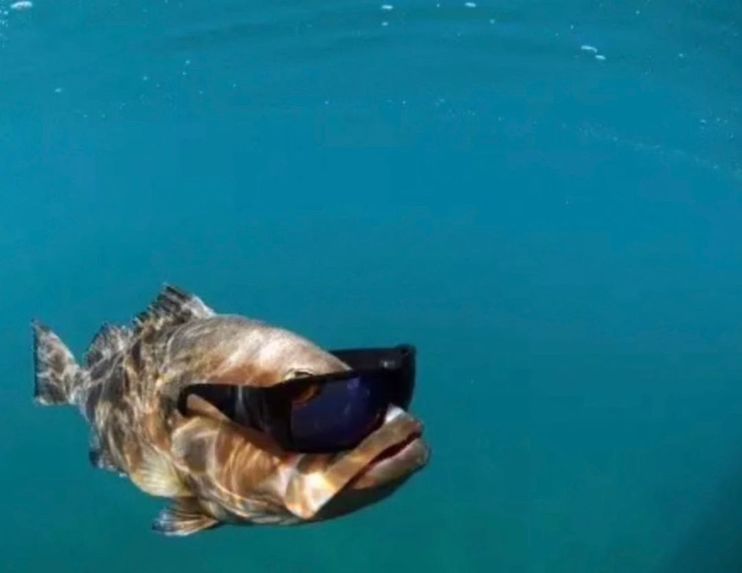 MBCR-TaiPy – screenshot 1