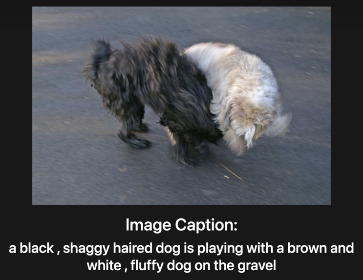 CaptionToLife – screenshot 2