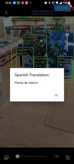 LinguaScan – screenshot 2