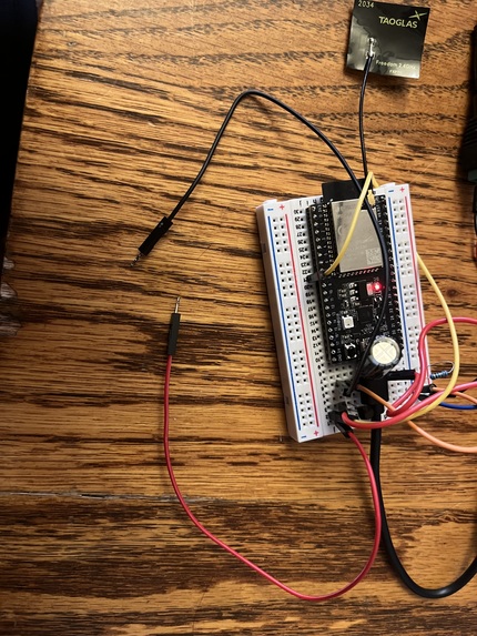 Bazinga – screenshot 2