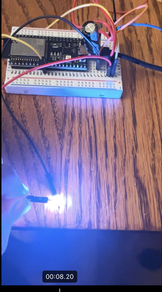 Bazinga – screenshot 3