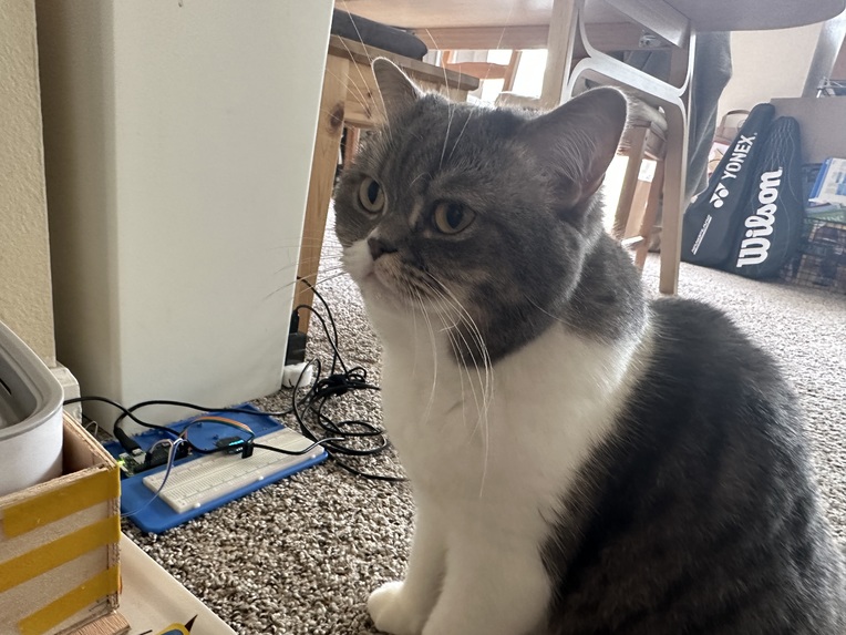 Hydrate Cat – screenshot 4