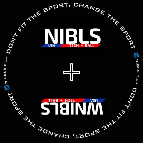 NIBLS Coin Project Analytics to Profits – screenshot 1